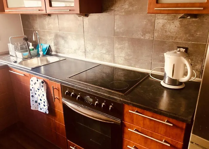 Blue River - Ul Ciepla - Near Pkp And Aquapark * Vratislav